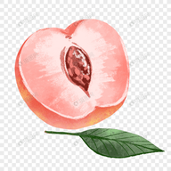 WWW,av862·COM网站APPAPP应用